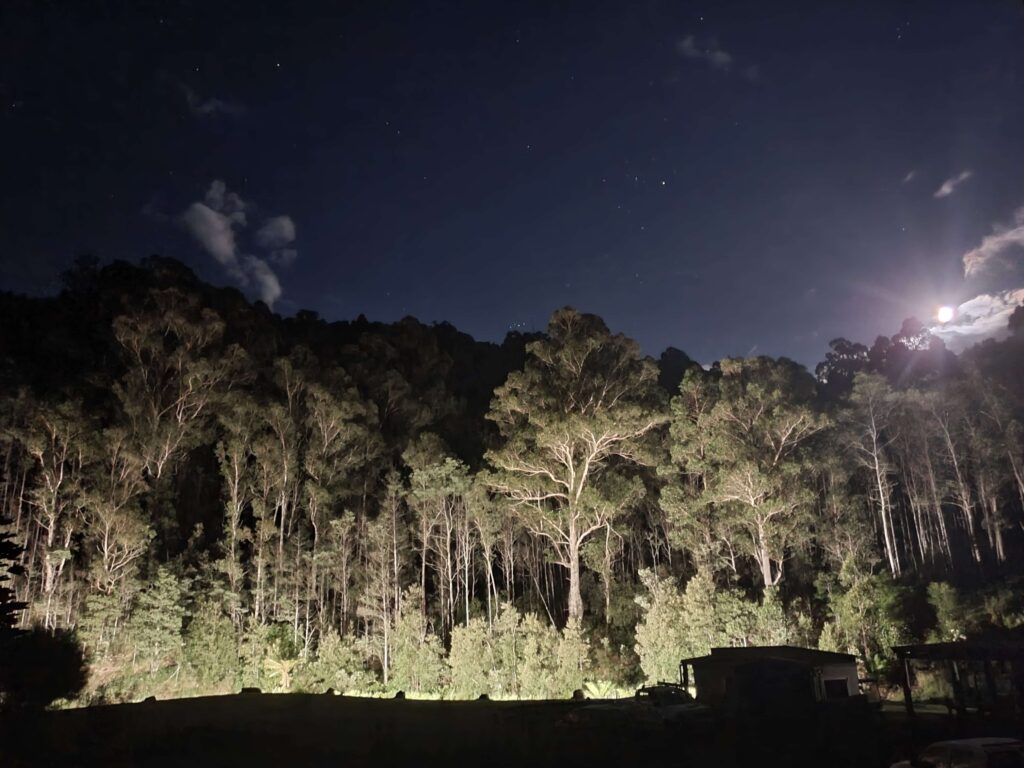 Laid Back Manor after dark with the night lights highlighting the natural rainforest from below.  The full moon rising over the huge gum trees. The sky full of stars.